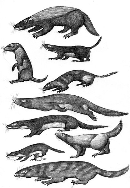 the extinction of the dinosaurs made way for